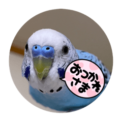 miki_20220109193609