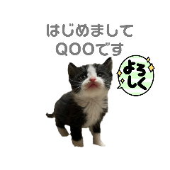 yuka_20220109211946