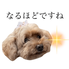 nozomi_20220110002240