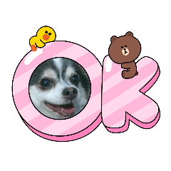 arisa_20220110094658