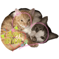 Ayumi_20220109193245