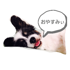 SHIHO_20220109193544