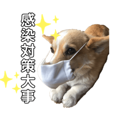 nozomi_20220109185123