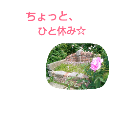 華尽くし