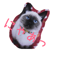 mugi_stamp