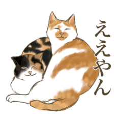 MIzuki_20220109233800