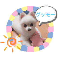 ai.jinkun