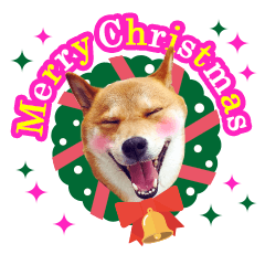 のんびり柴犬のダフ クリスマス&お正月編
