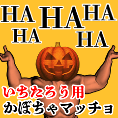 Ichitarou Pumpkin macho