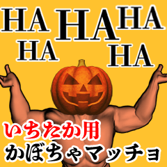 Ichitaka Pumpkin macho