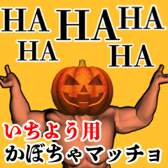 Ichiyou Pumpkin macho