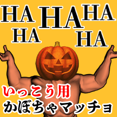 Ikkou Pumpkin macho