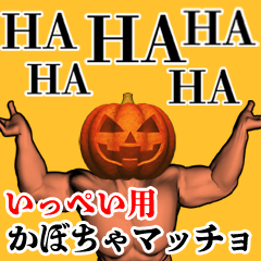 Ippei Pumpkin macho