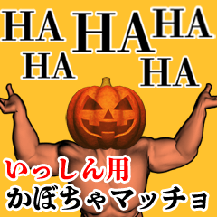 Isshin Pumpkin macho