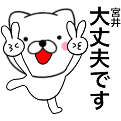 Name cat Miyai