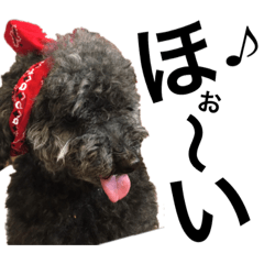 シンプルわんこ達　　3