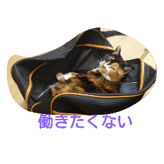 pontaame