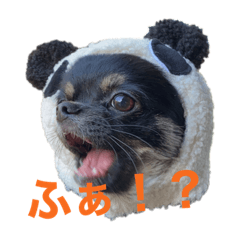 hikaru_20220110211924