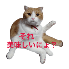 KINAKO and Dehara fam