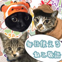 Cat photo Sticker -KURO,MIYA,KOO-