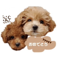 melon_20220111115851
