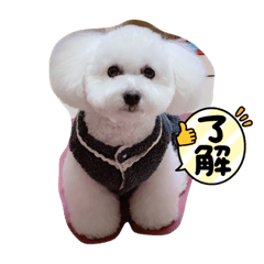 就是可愛❤️❤️