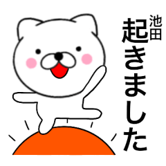 Name cat Ikeda