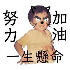 小貓咪咪的日常