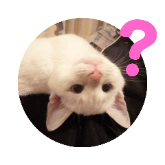 asako_20220111144419