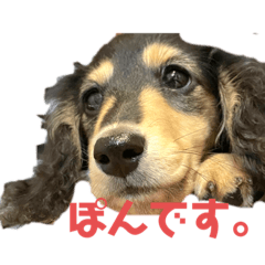 W-san_20220111153229