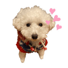 himawari_20220111211423