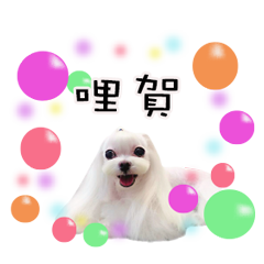 網美WahWah公主第20彈貼圖動起來！