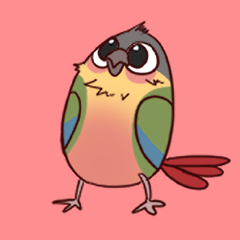Strange Beanie Bird