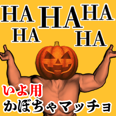 いよ用かぼちゃマッチョ
