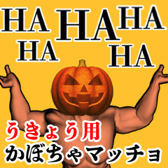 うきょう用かぼちゃマッチョ