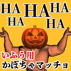 いふう用かぼちゃマッチョ
