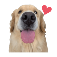 kinaco_20220112124421