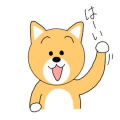 Shibainu korokoro diary