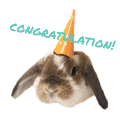 rabbit kinako sticker