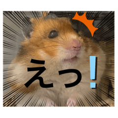 kayo_20220112134118