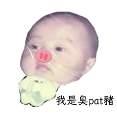 臭豬豬與香咪咪