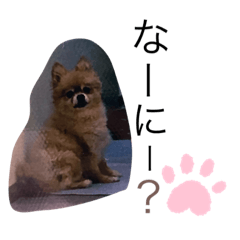 nozomi_20220112161846