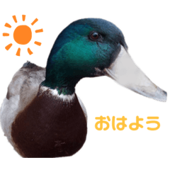 chitan_20220112153605