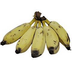 Food Series : Five Banana Brothers