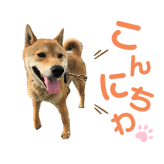 natsumi_20220112202528