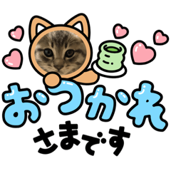 shiho_20220112221008