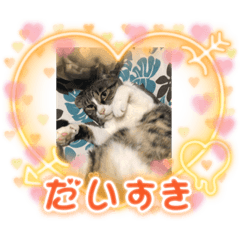 yuka_20220113073256