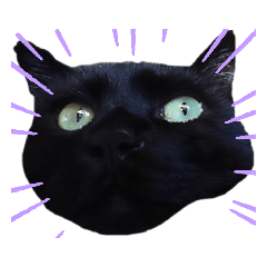 sakura_20220112214206