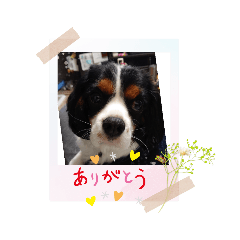 michiko_20220112203842