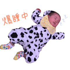 yuikasama.